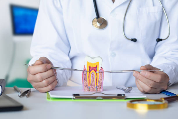 Best Emergency Dental Care for Broken or Chipped Teeth in Banks Springs, LA